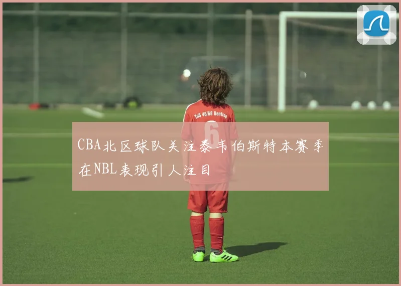 CBA北区球队关注泰韦伯斯特本赛季在NBL表现引人注目